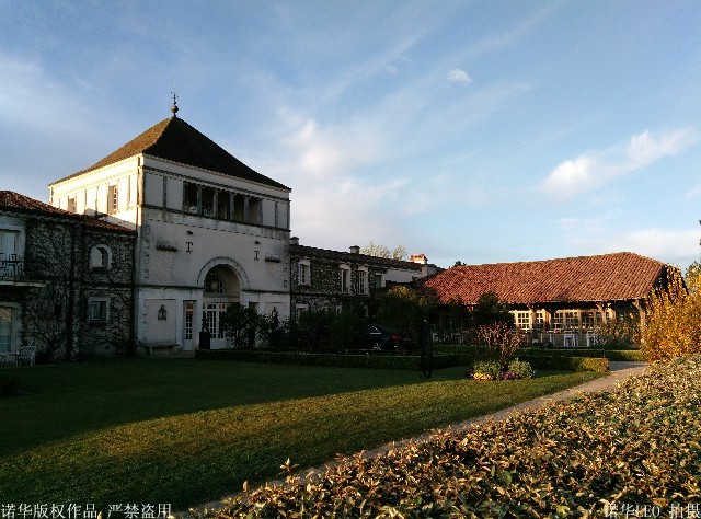 特朗普旅行禁令复活？美国法院允许部分生效
